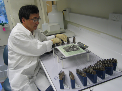 Kuni Nishiizumi in the Genesis Lab working on Mo-Pt foil expansion.